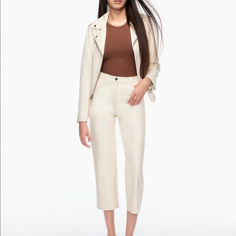 Aritzia Babaton Vegan Leather Straight Pant
